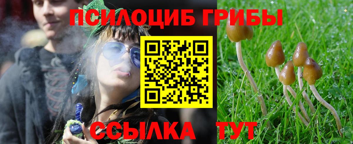 Сокол  Псилоцибиновые грибы Magic Shrooms  Вход с VPN 